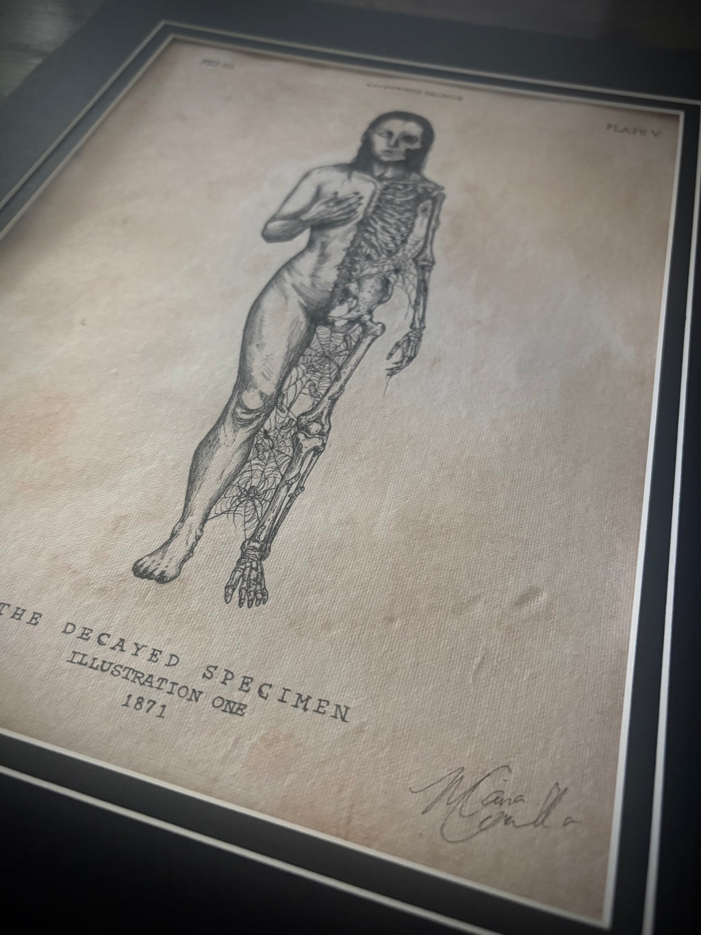 Original Ink Drawing - The Decayed Specimen 8.5" x 11"