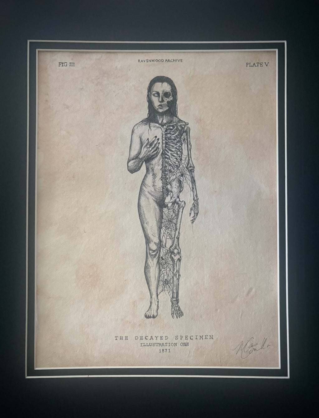 Original Ink Drawing - The Decayed Specimen 8.5" x 11"